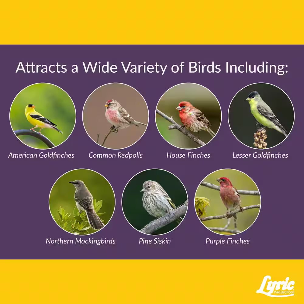 20 Lbs. Finch Small Songbird Wild Bird Mix