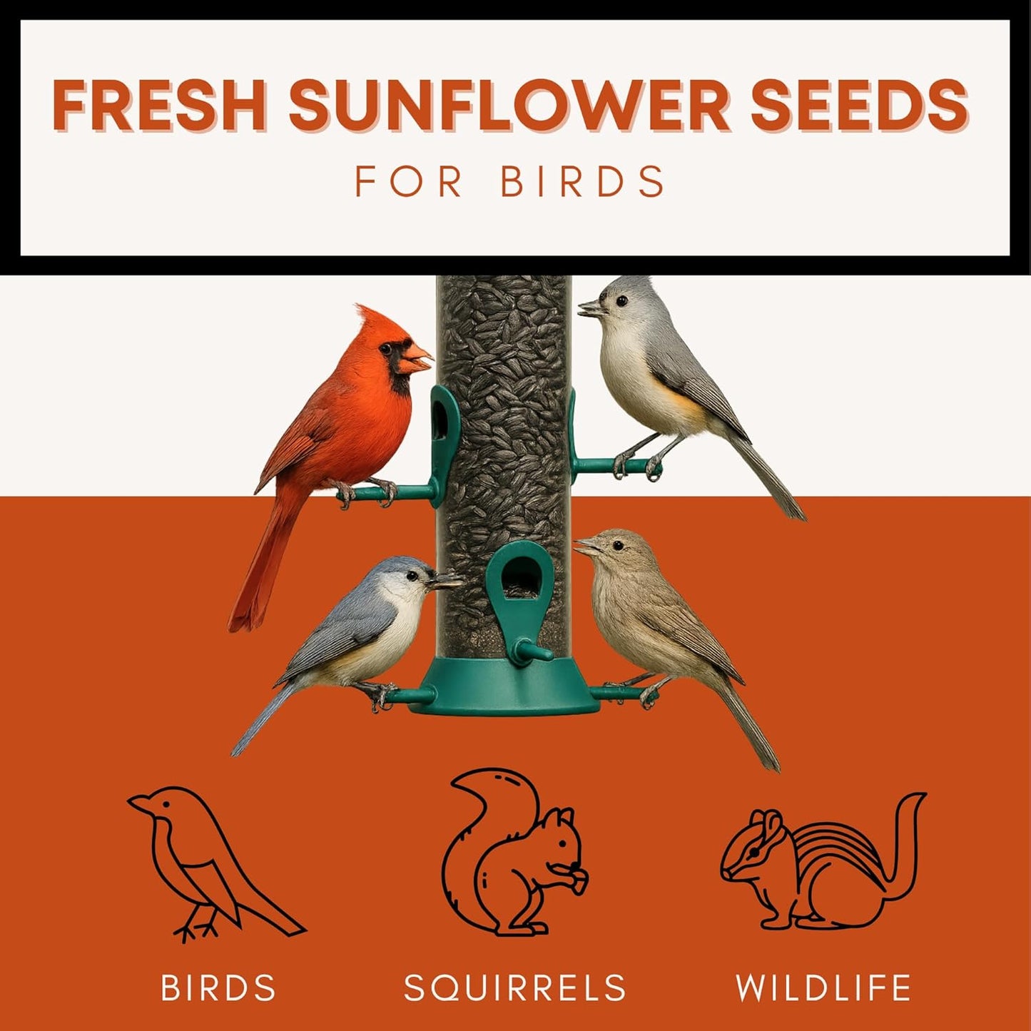 Black Oil Sunflower Seeds for Birds - Premium Bird Seed Mix, Ideal for Chickens & Wild Birds, Bird Sunflower Seed (10Lbs)