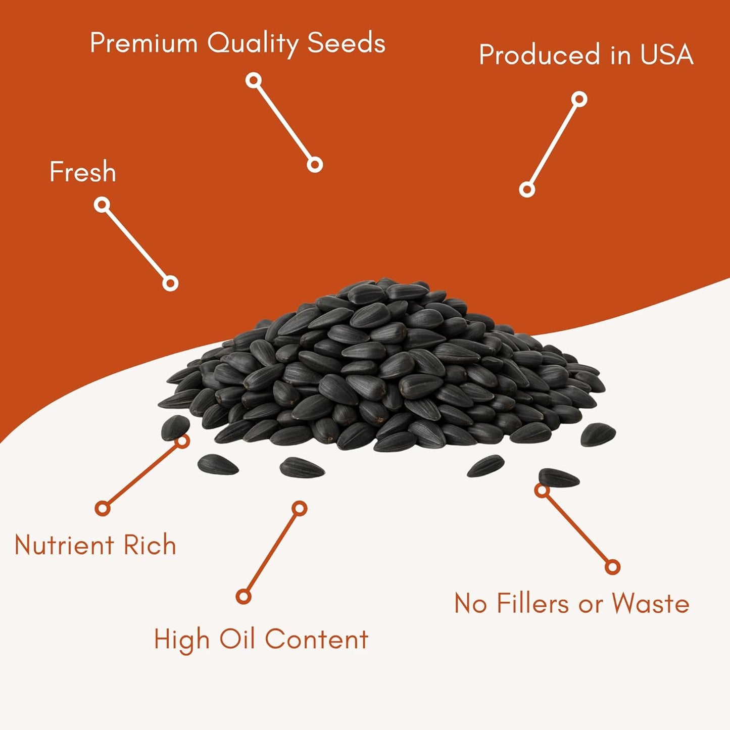 Black Oil Sunflower Seeds for Birds - Premium Bird Seed Mix, Ideal for Chickens & Wild Birds, Bird Sunflower Seed (10Lbs)