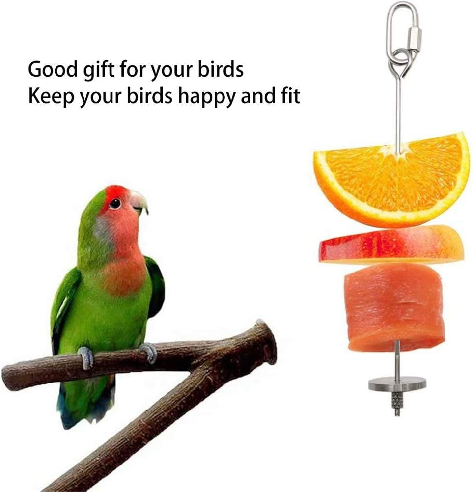 Bird Food Holder, Bird Feeders, Stainless Steel Parrot Fruit Vegetable Stick Holder, Foraging Toy, Bird Treat Skewer