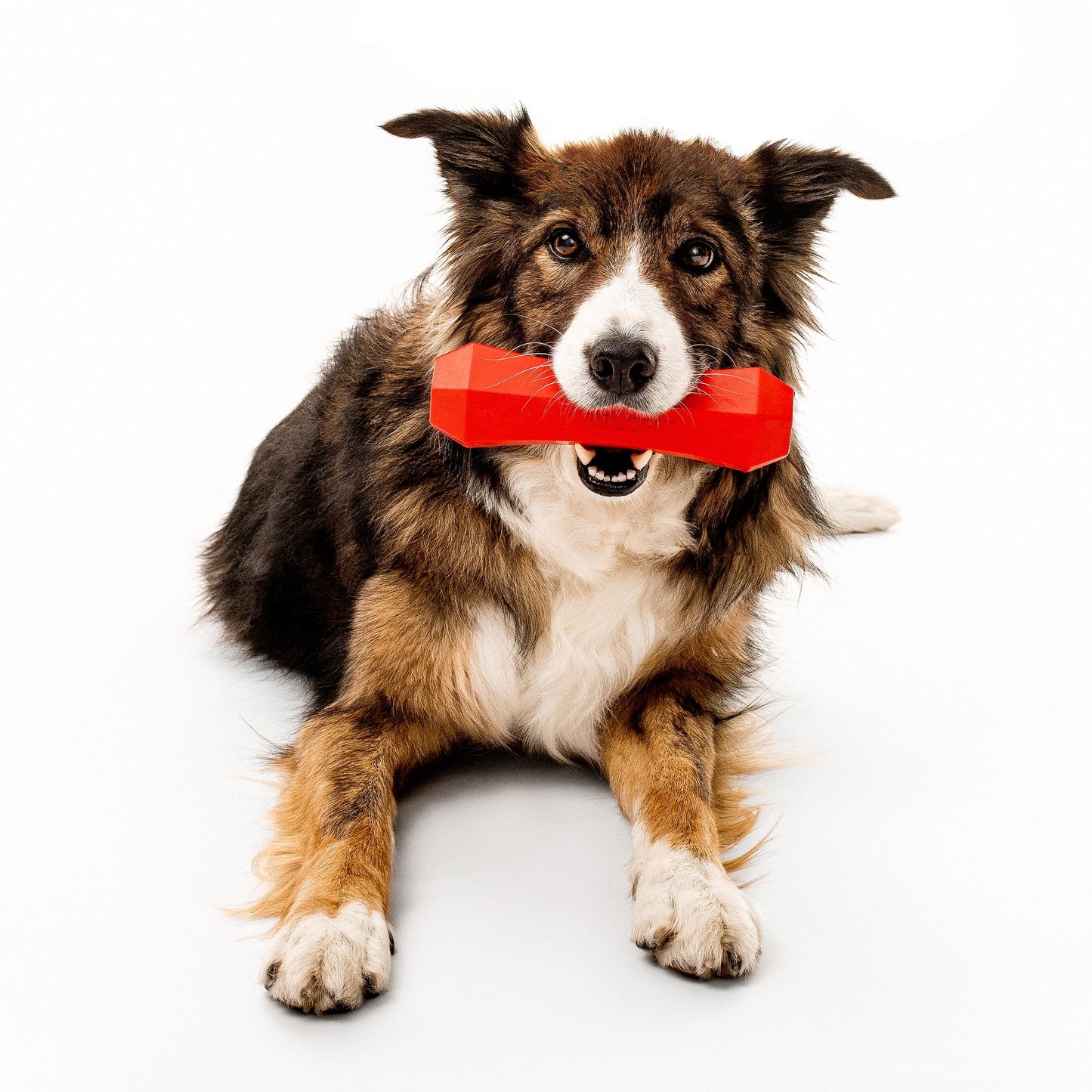 Dog Toys | Squeaky & Durable Chew Stick, Beef Scented Toy - Jumbo