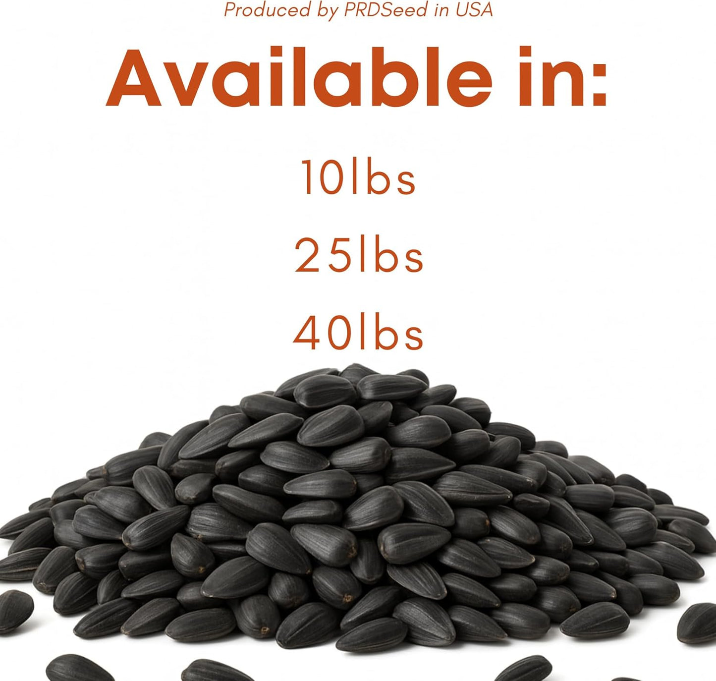 Black Oil Sunflower Seeds for Birds - Premium Bird Seed Mix, Ideal for Chickens & Wild Birds, Bird Sunflower Seed (10Lbs)