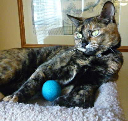 Wool Cat Balls - Safe Silent Felt Ball Toys - Fun Colorful Soft Quiet Wool Kitty