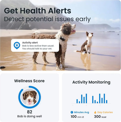 2025 Release Real-Time GPS Dog Tracker with Health Wellness Alerts Virtual Fence & Bark Ing Black Dog Collar