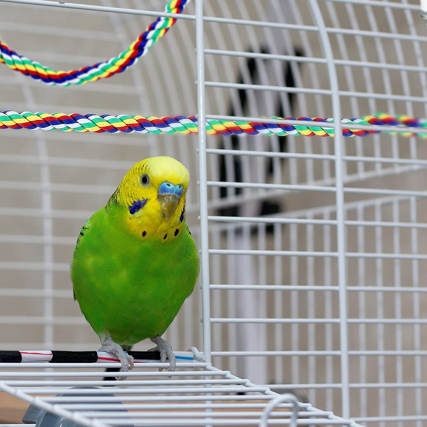2 Pcs Bird Rope Perches Climbing Rope Bird Cage Accessories for Parrots, Parakeets, Cockatiels, Conures