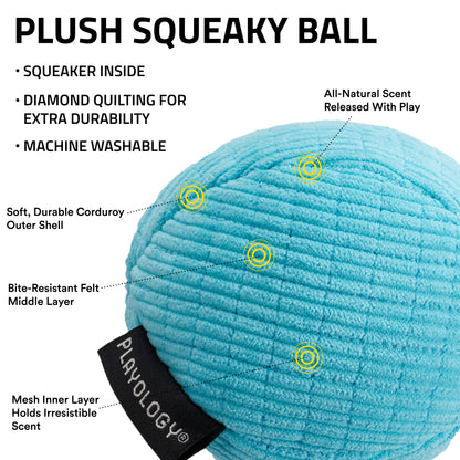 Dog Toys | Plush Squeaky Ball, Peanut Butter Scented Toy - Jumbo