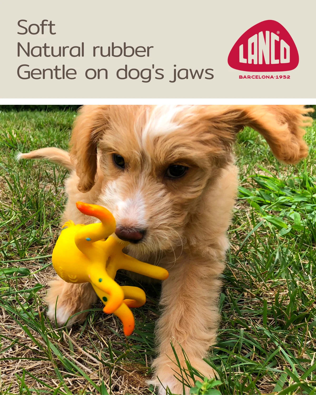 Octopus Squeaky Dog Toy Natural Rubber (Latex) Puppy Toy Small