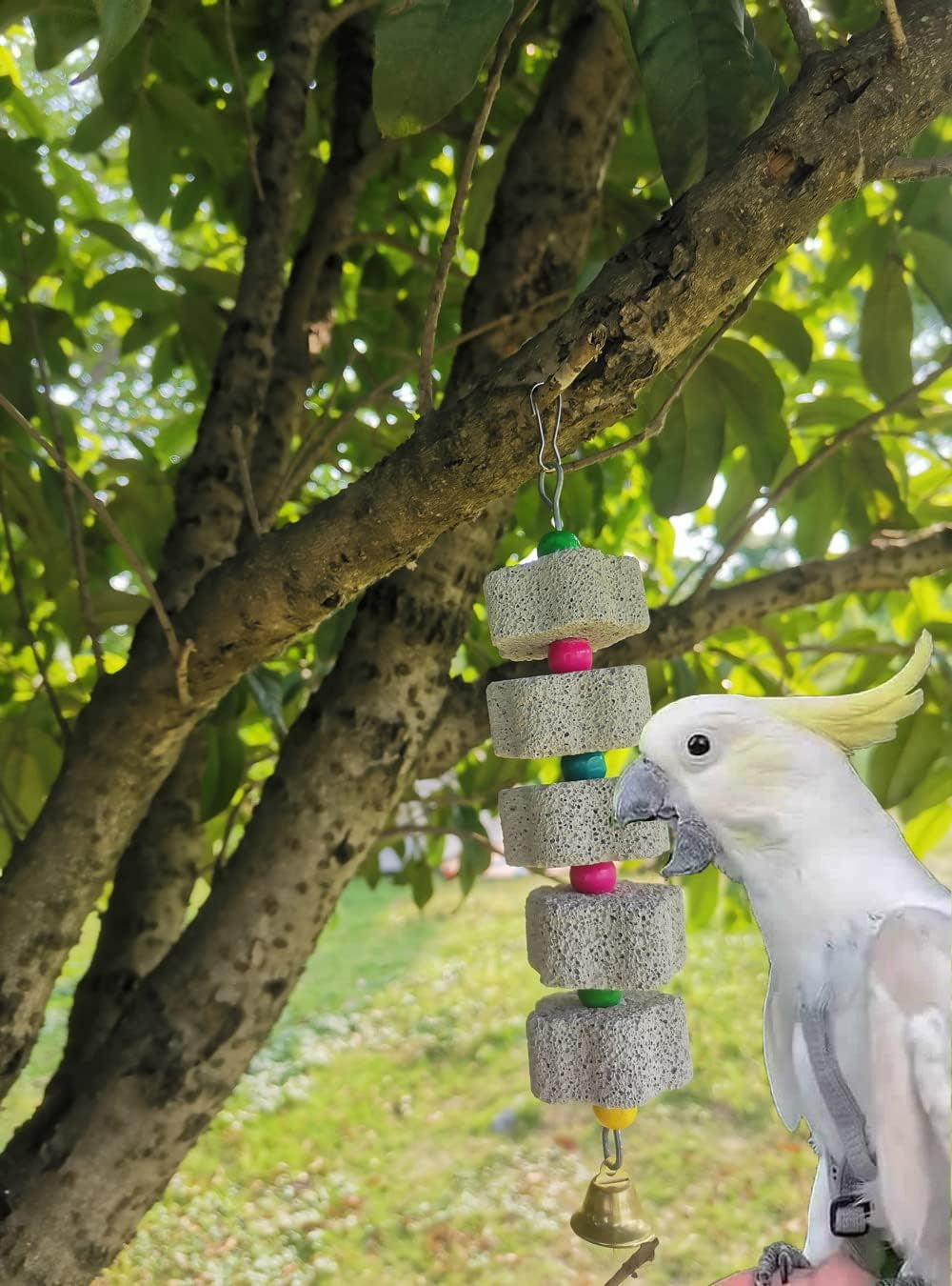 2Pcs Parrot Chewing Toy, Bird Beak Grinding Stone Toys with Bell, Lava Block Calcium Supplement Food for African Greys Amazon Conure Eclectus Budgies Parakeet Cockatiel Hamster Chinchilla