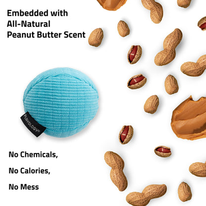 Dog Toys | Plush Squeaky Ball, Peanut Butter Scented Toy - Jumbo