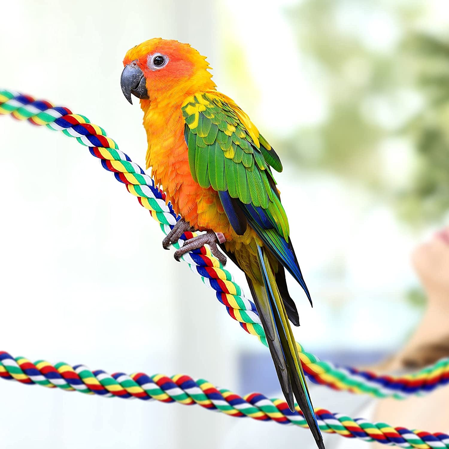 2 Pcs Bird Rope Perches Climbing Rope Bird Cage Accessories for Parrots, Parakeets, Cockatiels, Conures