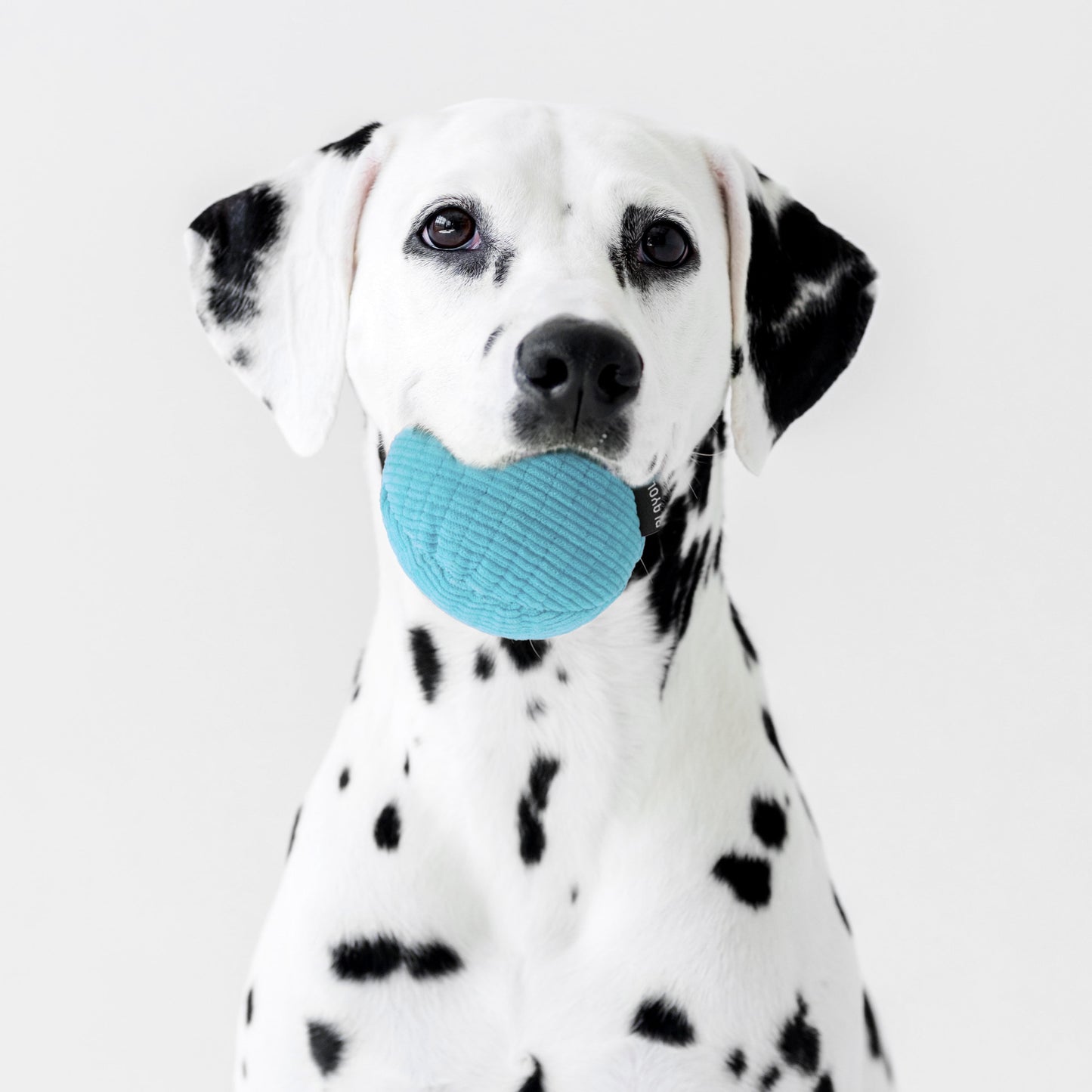 Dog Toys | Plush Squeaky Ball, Peanut Butter Scented Toy - Jumbo