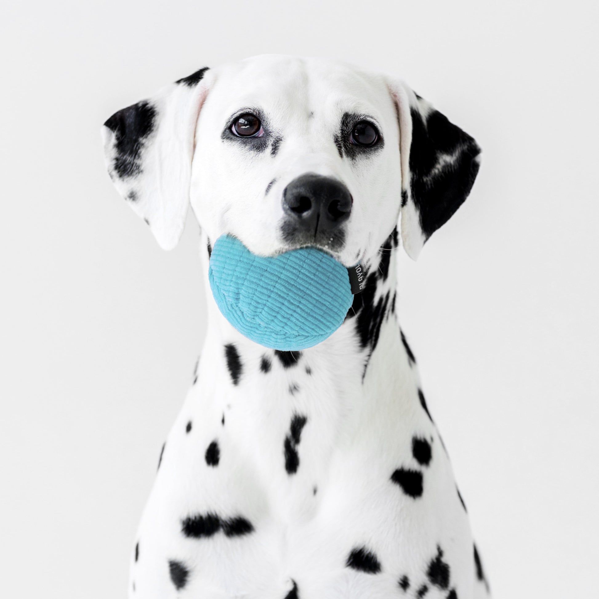 Dog Toys | Plush Squeaky Ball, Peanut Butter Scented Toy - Jumbo