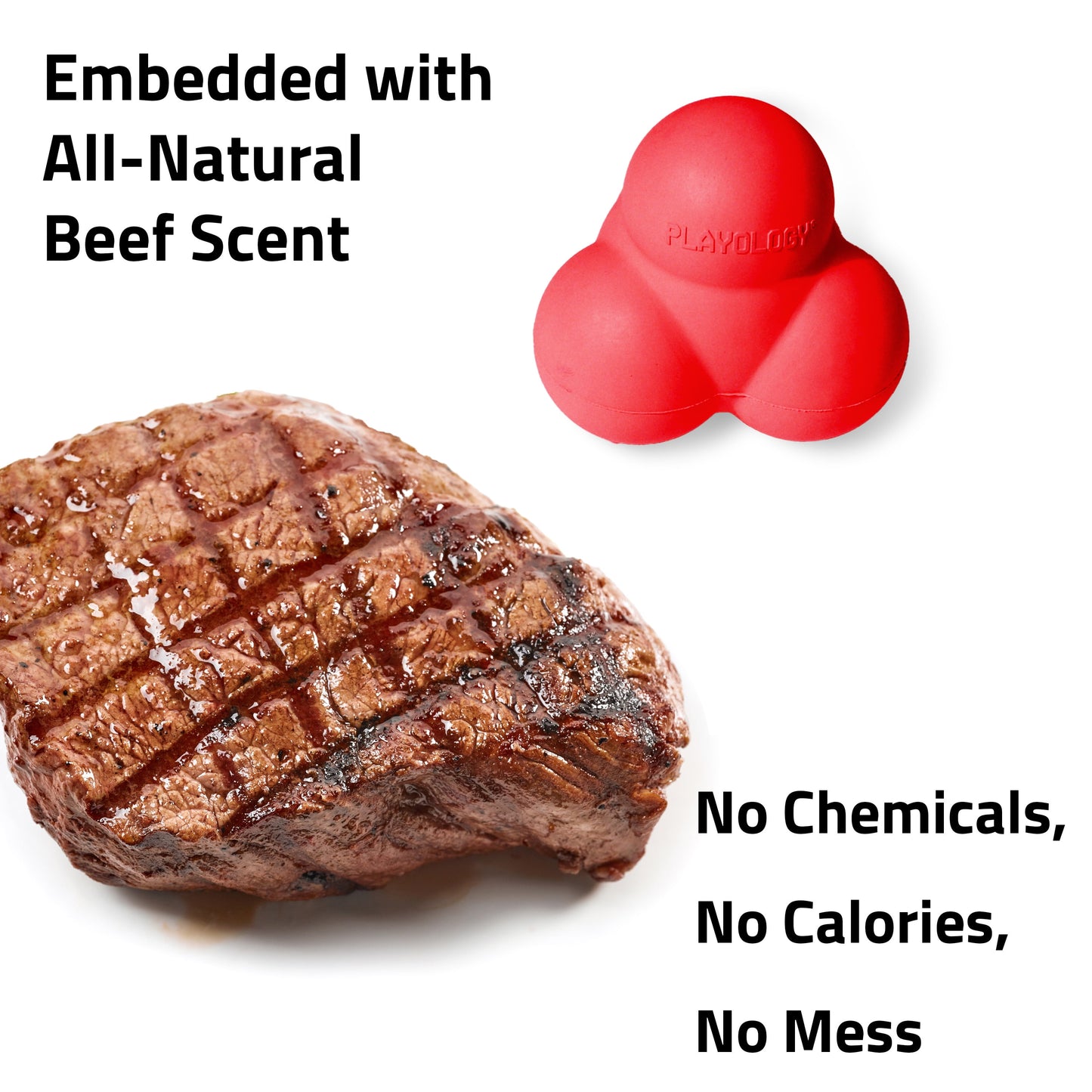 Dog Toys | Squeaky Bounce Ball, Beef Scented Chew Toy - Jumbo