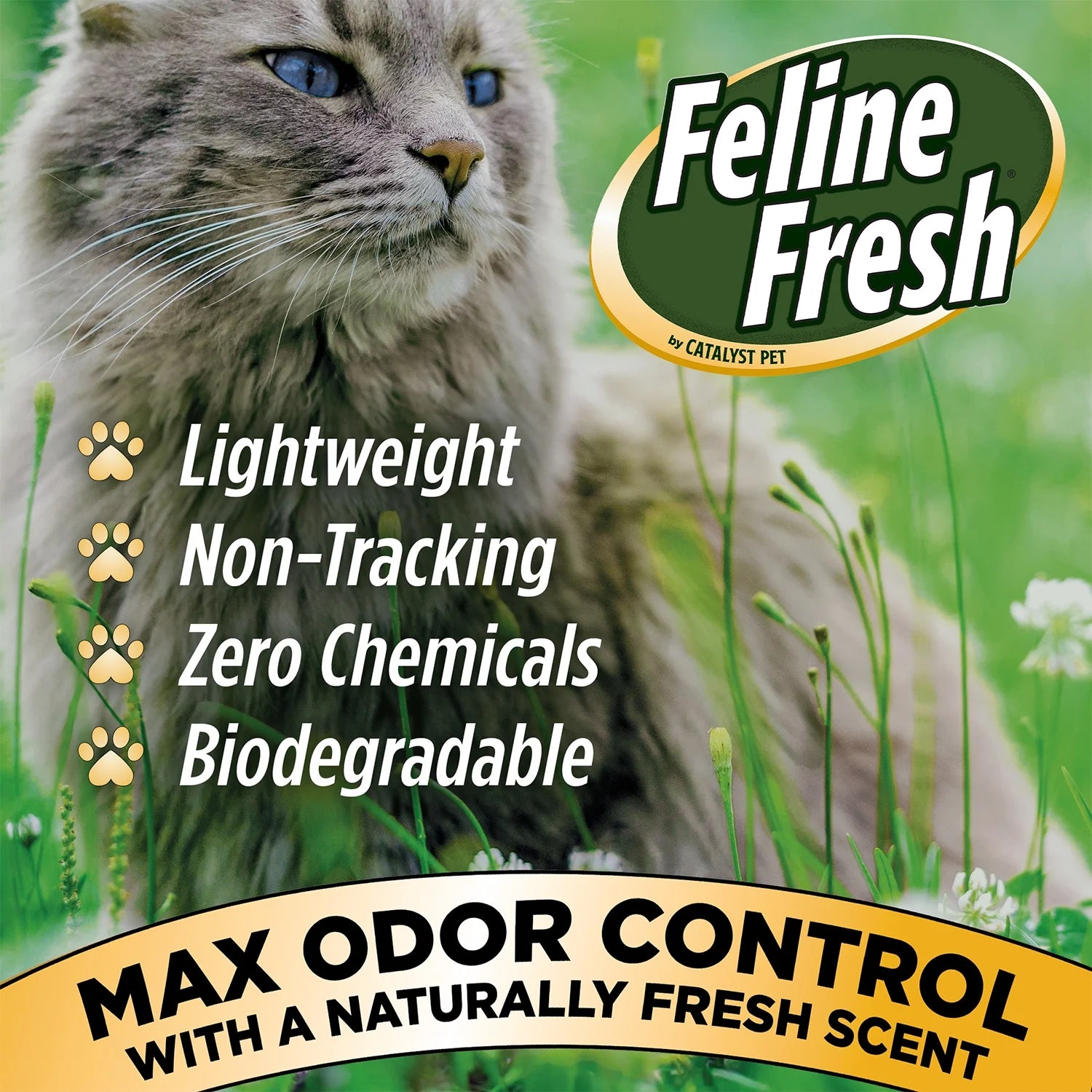 Non- Clumping Natural Pine Pellet Cat Litter, Unscented, 20 Lb Bag