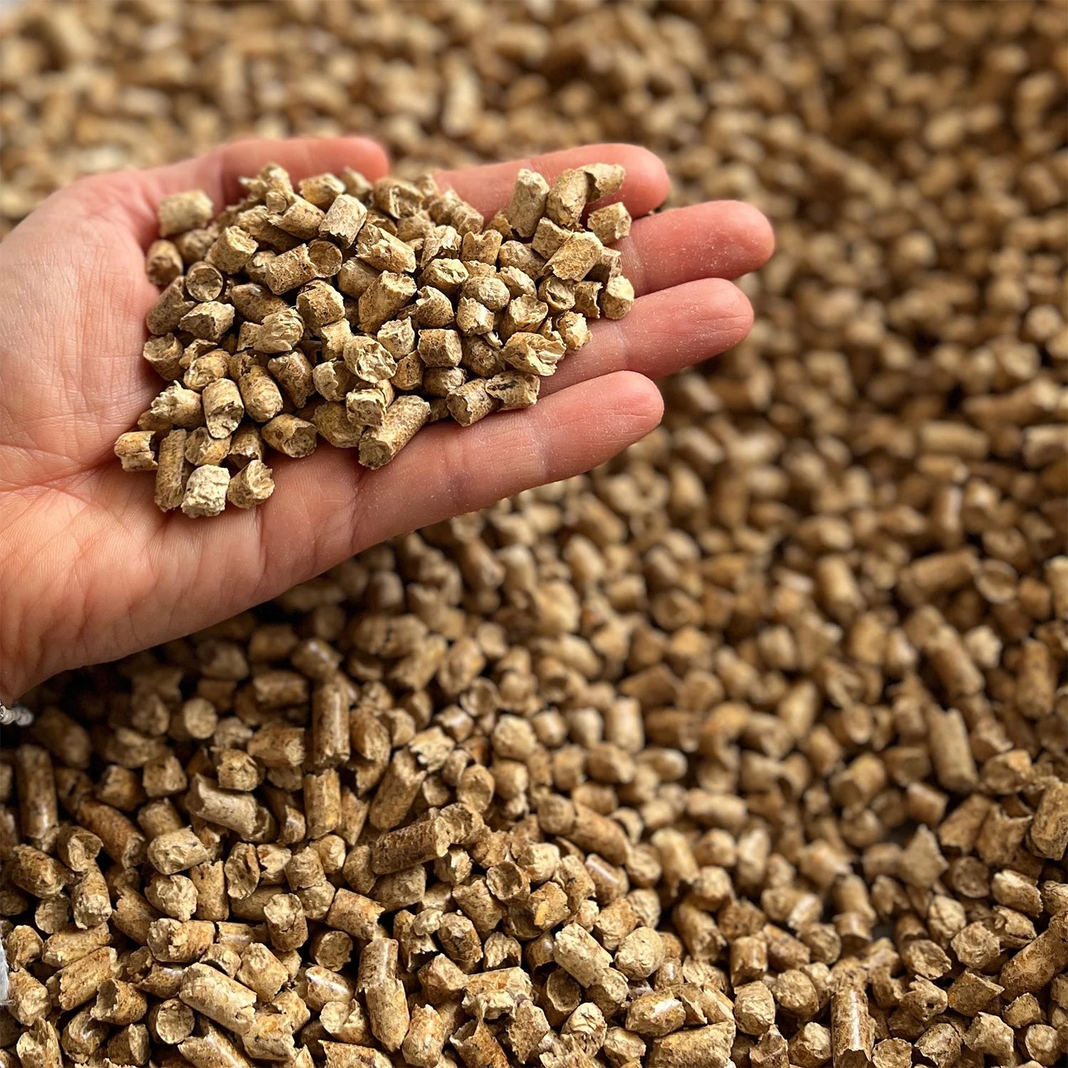 Non- Clumping Natural Pine Pellet Cat Litter, Unscented, 20 Lb Bag