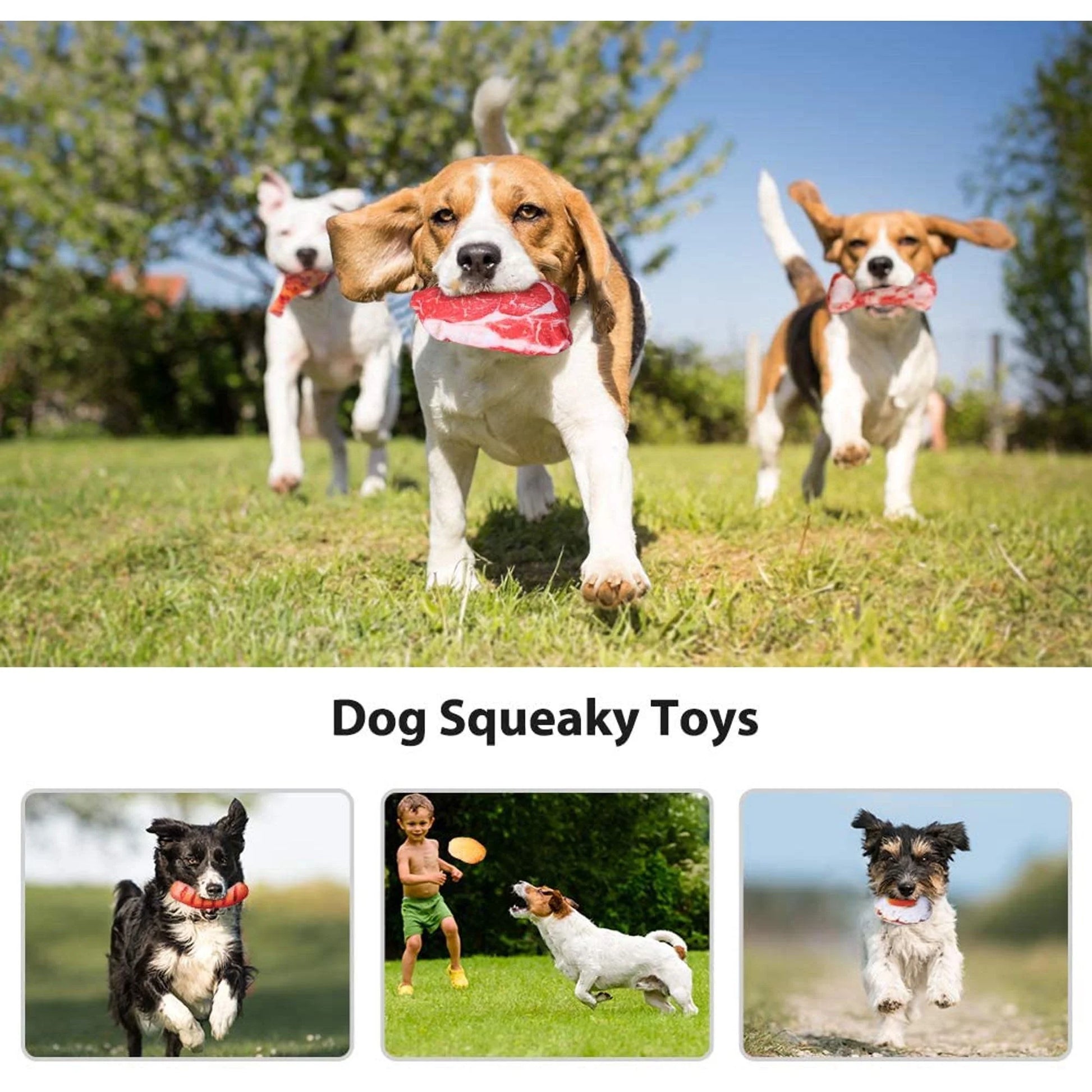 12 Pack Dog Squeaky Toys, Soft Food Shape Pet Toy for Small Medium Dogs,Dog Toys Squeaky Small Dog Toys Squeaky Puppy Chew Toys Plush Dog Toy for Small Dogs with Squeakers for Small/Medium Dogs