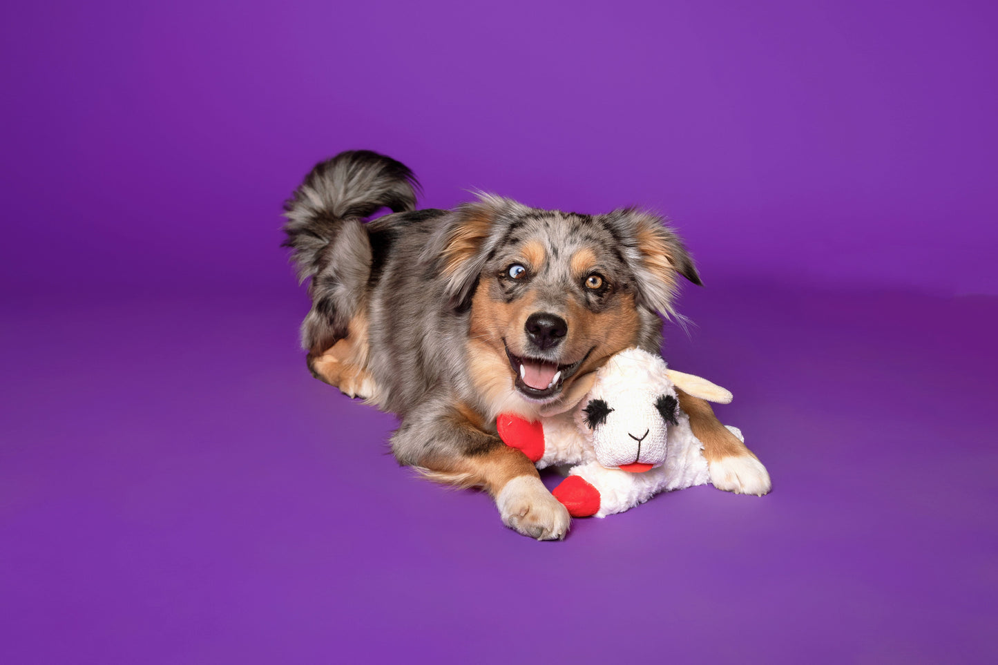 Plush Lamb Chop Squeaky Dog Toy, White with Red Paws, 10.5"