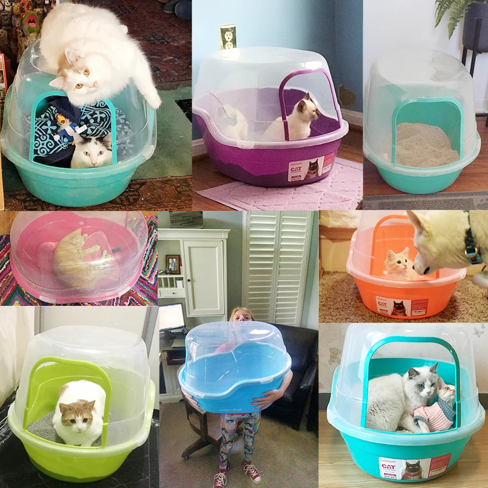 Extra Large Cat Litter Box, Color Teal, Jumbo Hooded, 24.8 X 20 X 16.5 In