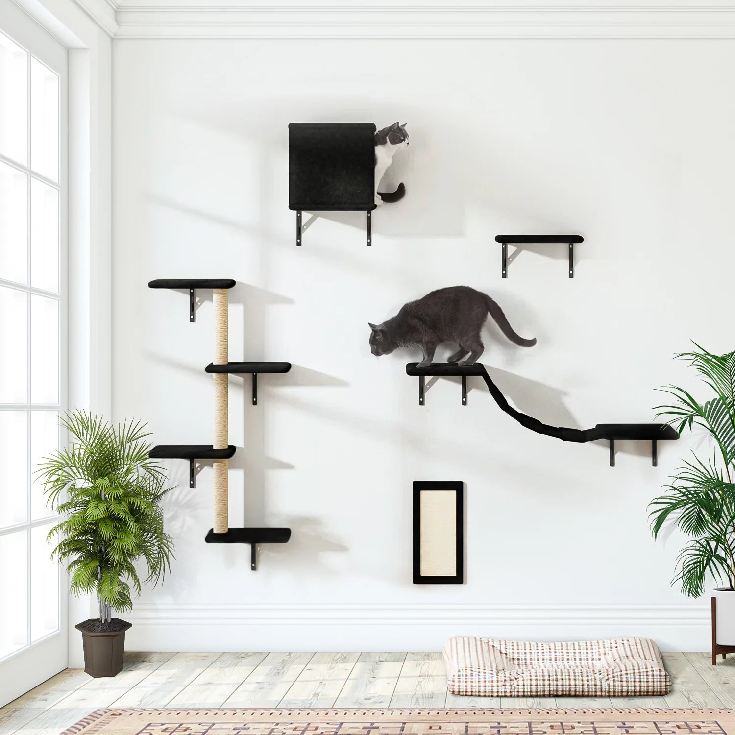 Cat Wall Shelves and Perches Set, Cat Tower for Adult Cats Mounted Cat Tree House for Indoor Cats Modern Furniture for Cat Sleeping Playing Lounging Climbing Cat Tree for Large, Black