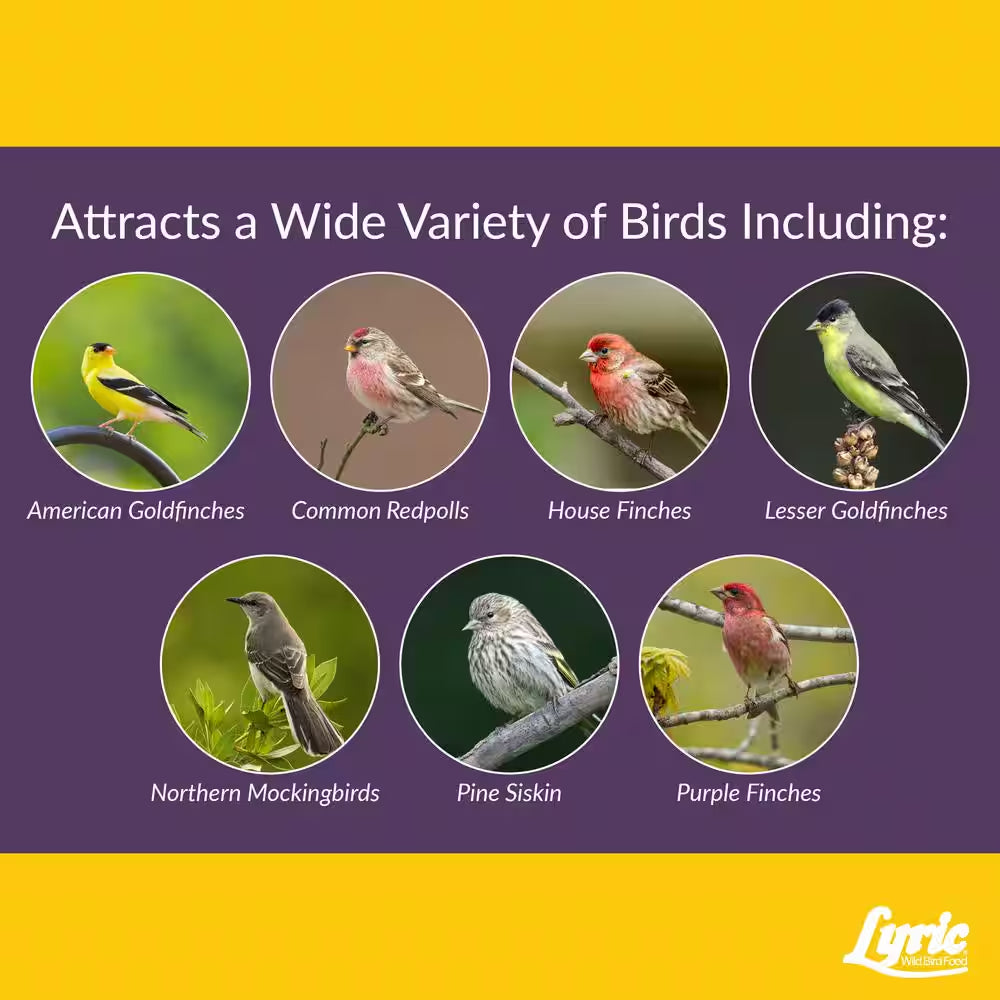 5 Lb. Finch Small Songbird Wild Bird Mix