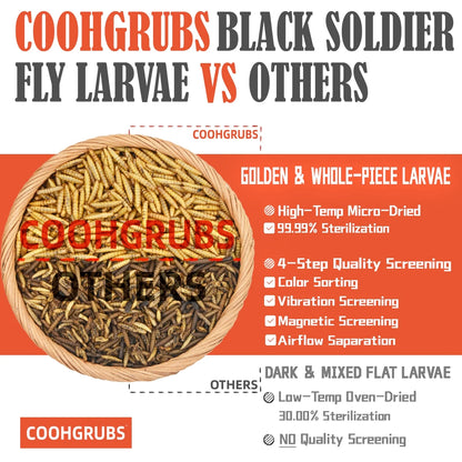 Dried Black Soldier Fly Larvae for Chickens, High-Calcium 85X More than Mealworms Bird Treat, 5-Lb Box