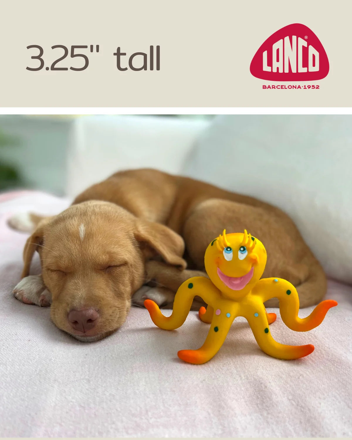 Octopus Squeaky Dog Toy Natural Rubber (Latex) Puppy Toy Small