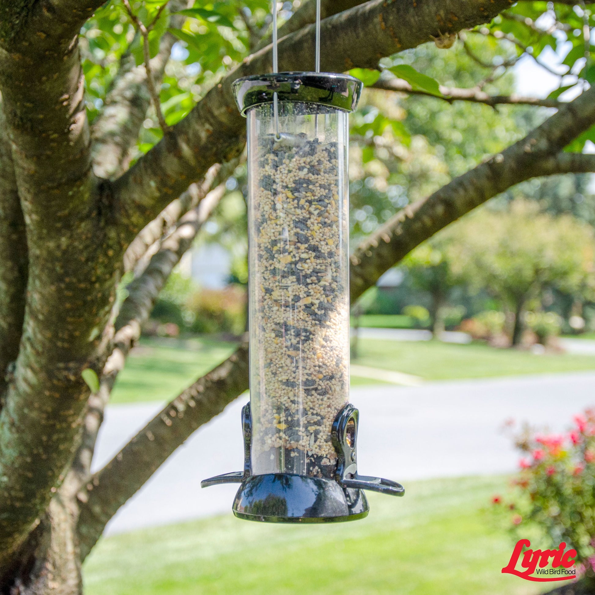 Lyric Wild Bird Mix Bird Seed, Bird Food for outside Feeders - 20 Lb. Bag