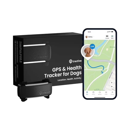 2025 Release Real-Time GPS Dog Tracker with Health Wellness Alerts Virtual Fence & Bark Ing Black Dog Collar