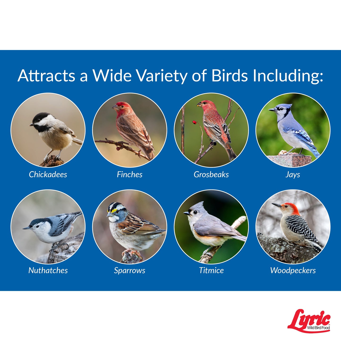 Lyric Wild Bird Mix Bird Seed, Bird Food for outside Feeders - 20 Lb. Bag