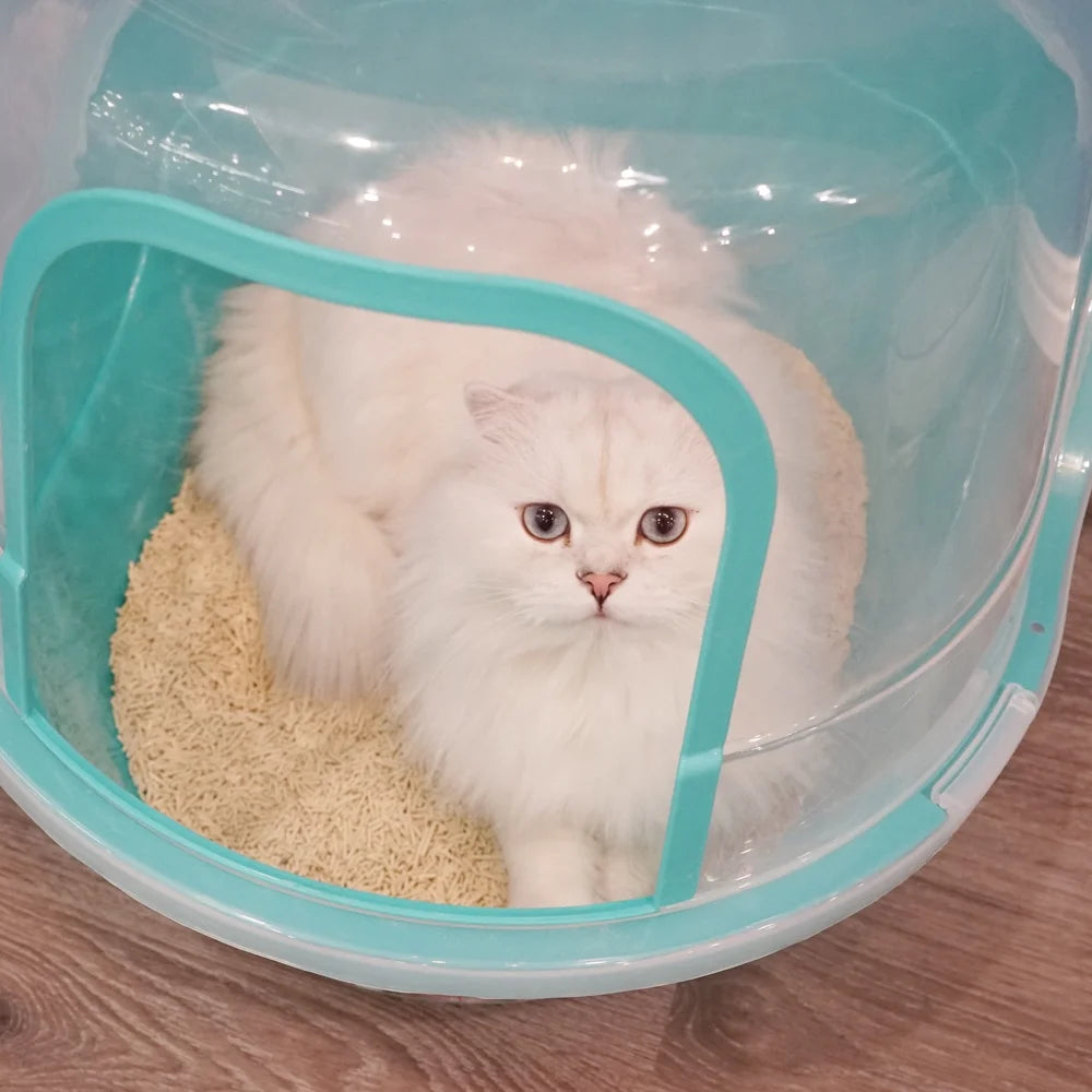 Extra Large Cat Litter Box, Color Teal, Jumbo Hooded, 24.8 X 20 X 16.5 In