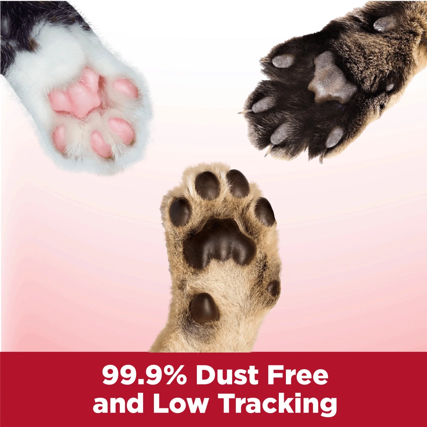 (2 Pack)  Clump & Seal Cat Litter Multi-Cat Complete Odor Sealing Clay Clumping Cat Litter, 38 Lb