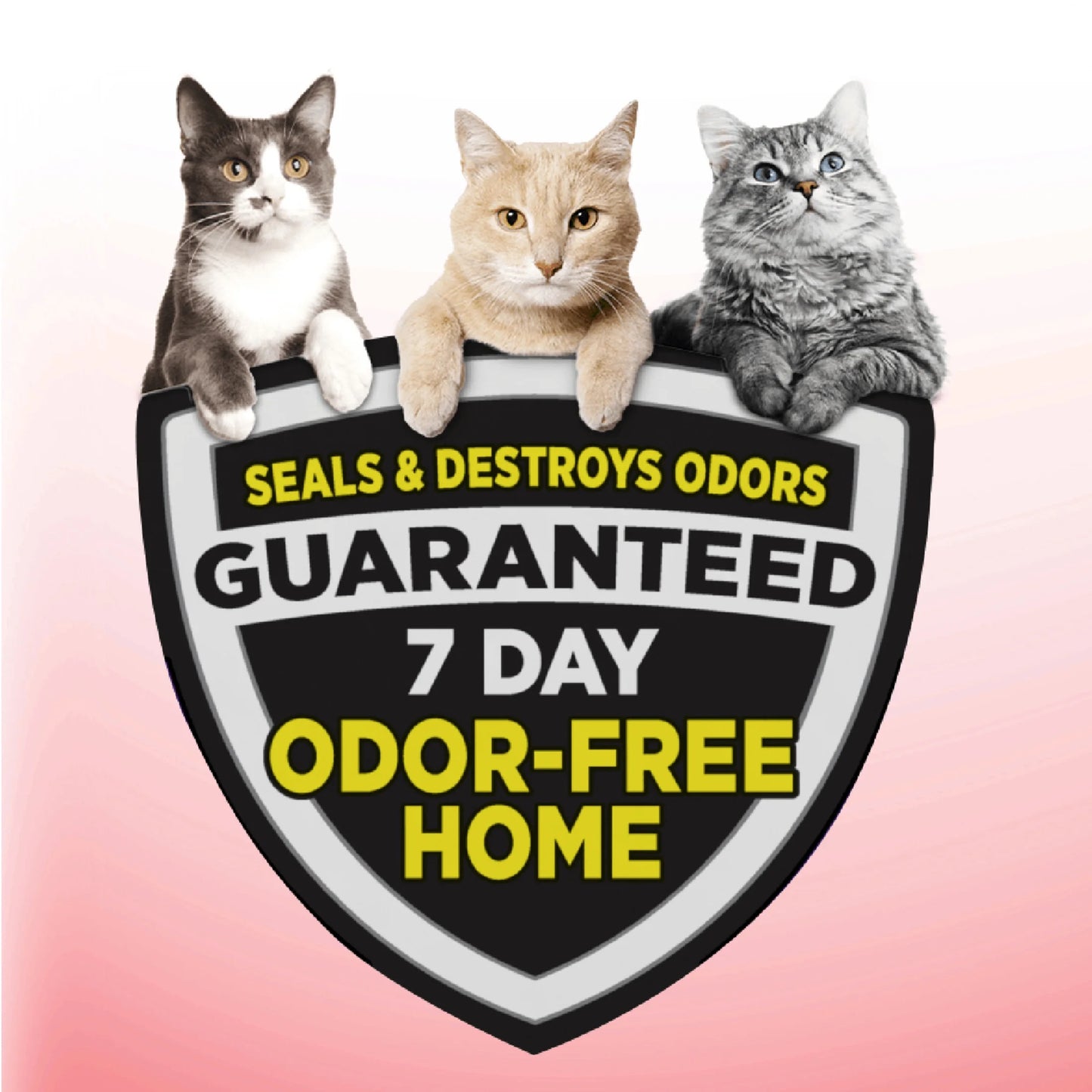 (2 Pack)  Clump & Seal Cat Litter Multi-Cat Complete Odor Sealing Clay Clumping Cat Litter, 38 Lb