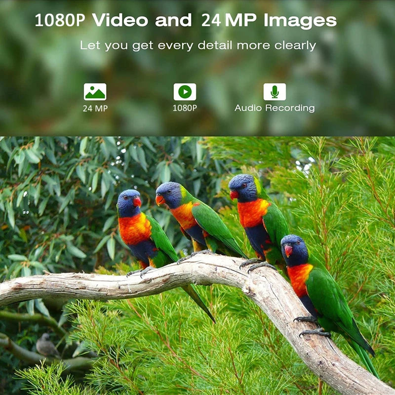 Solar Powered 1080P Wireless Wifi Smart Bird Feeder Camera Waterproof Bird Watching Camera Hunting Camera Trail Camera