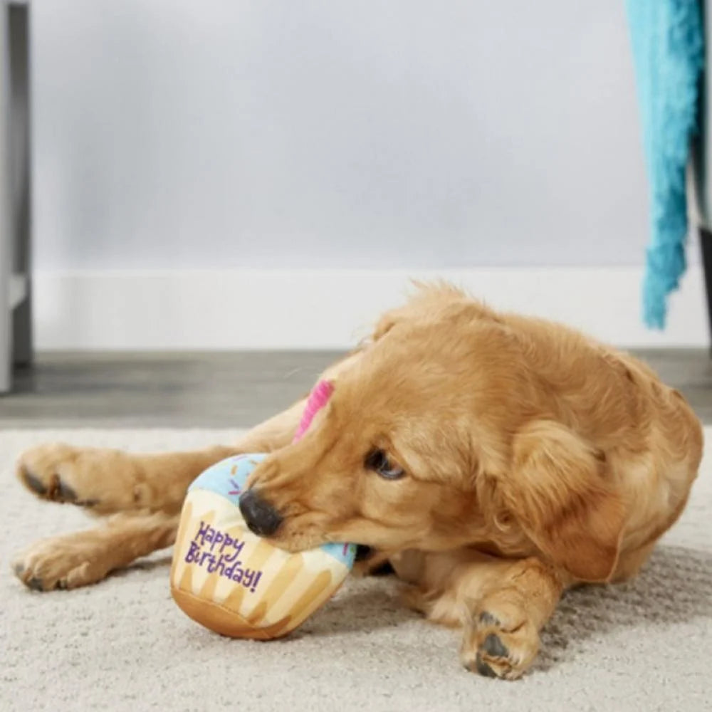Jolly Birthday Cake Squeaky Dog Toy with Soft Stuffing