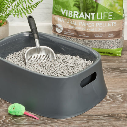 (2 Pack)  Natural Paper Pellets Cat Litter, Unscented, 20 Lb