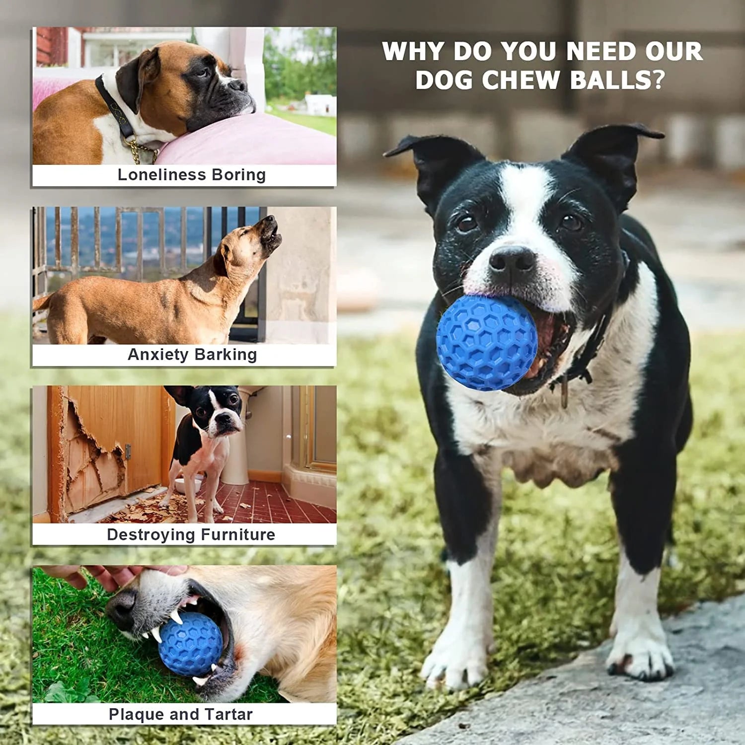 Interactive Squeaky Chew Toy for Aggressive Chewers, Blue