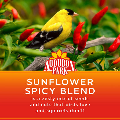 (5 Pack)  Sunflower Spicy Blend Wild Bird Food, Dry, 1 Count per Pack, 5 Lb. Bag