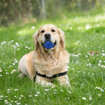 Interactive Squeaky Chew Toy for Aggressive Chewers, Blue