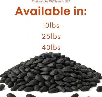 Black Oil Sunflower Seeds for Birds - Premium Bird Seed Mix, Ideal for Chickens & Wild Birds, Bird Sunflower Seed (10Lbs)
