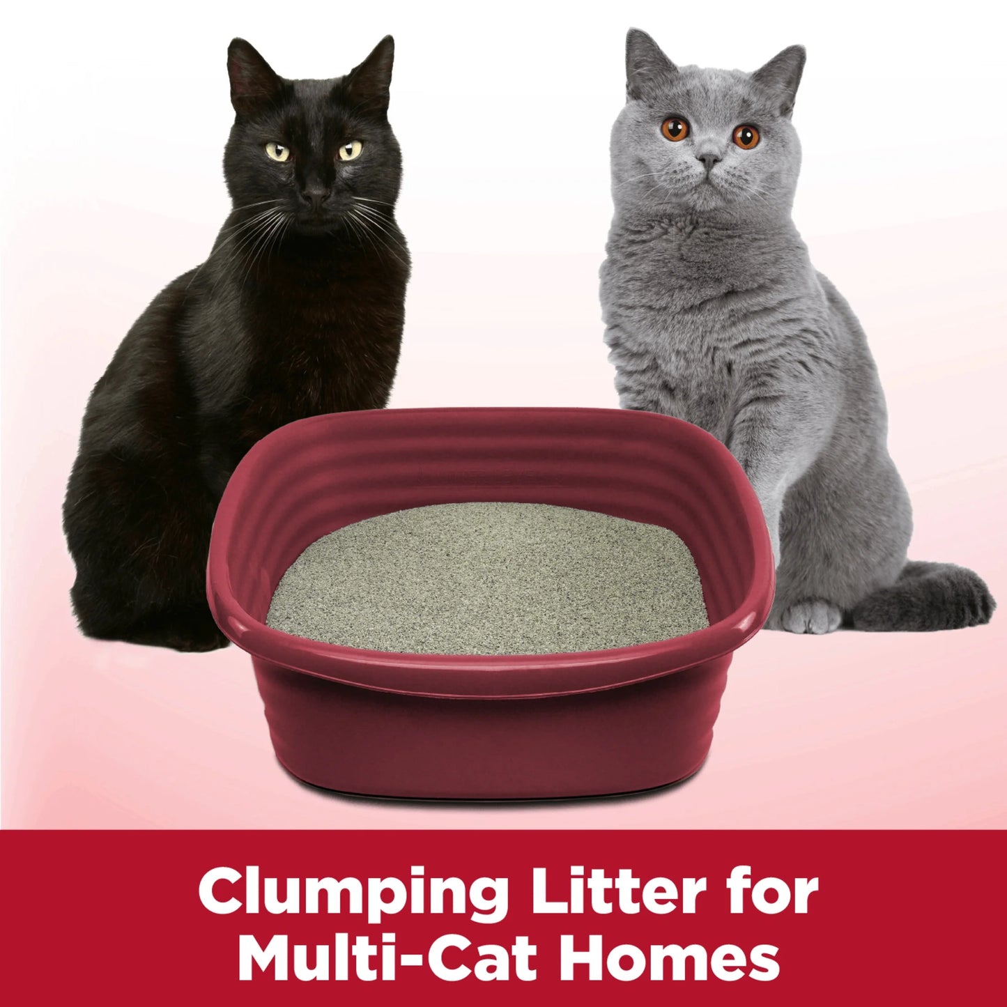 (2 Pack)  Clump & Seal Cat Litter Multi-Cat Complete Odor Sealing Clay Clumping Cat Litter, 38 Lb