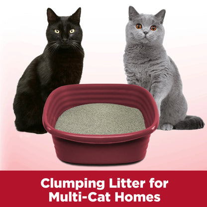 (2 Pack)  Clump & Seal Cat Litter Multi-Cat Complete Odor Sealing Clay Clumping Cat Litter, 38 Lb